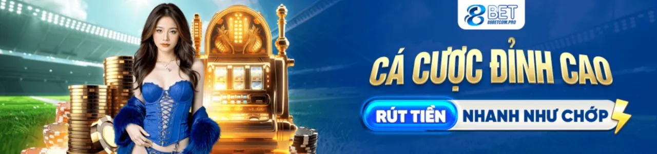 Chương trình VIP và phần thưởng độc quyền